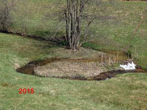 Eichbach Mäander durchgebrochen Eichbach Mäander durchgebrochen