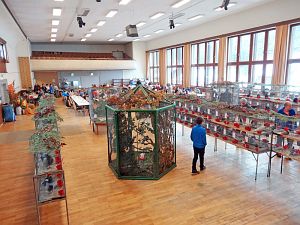 Geflgelschau Tennenbronn