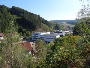 Herbst 2015 in Tennenbronn
