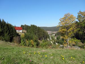 Herbst 2015 in Tennenbronn Herbst 2015 in Tennenbronn