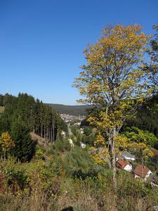 Herbst 2015 in Tennenbronn