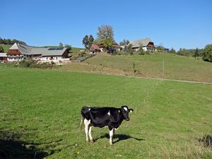 Herbst 2015 in Tennenbronn