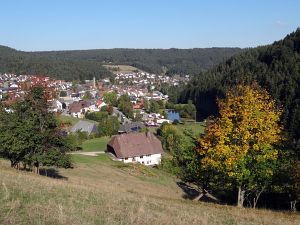 Herbst 2015 in Tennenbronn