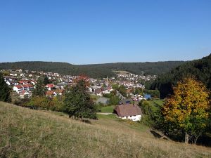 Herbst 2015 in Tennenbronn