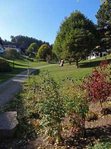 Herbst 2015 in Tennenbronn