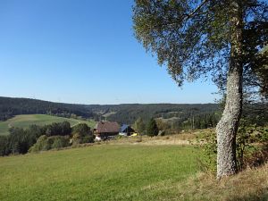 Herbst 2015 in Tennenbronn