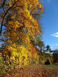 Herbst in Oberndorf und Rottweil
