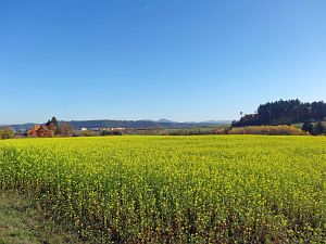 Herbst in Oberndorf und Rottweil