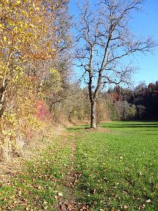 Herbst in Oberndorf und Rottweil