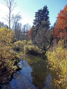 Herbst in Oberndorf und Rottweil