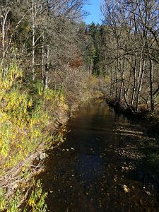 Herbst in Oberndorf und Rottweil