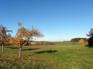 Herbst in Oberndorf und Rottweil
