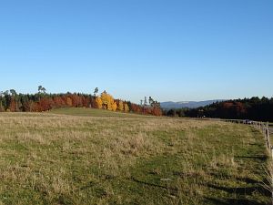 Herbst in Oberndorf und Rottweil