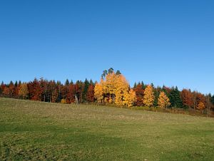 Herbst in Oberndorf und Rottweil