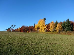Herbst in Oberndorf und Rottweil