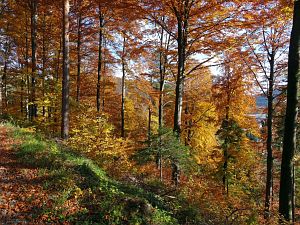 Herbst in Oberndorf und Rottweil