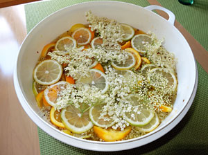 Holunderbltensirup