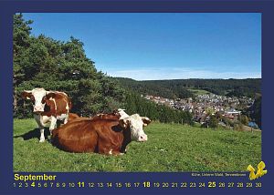 Kalender Tennenbronn 2016