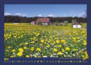 Kalender Tennenbronn 2016
