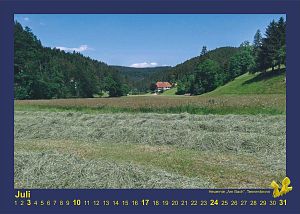 Kalender Tennenbronn 2016