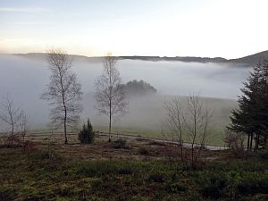 Tennenbronn im Nebel