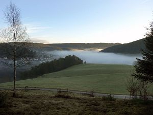 Tennenbronn im Nebel