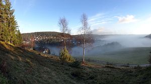 Tennenbronn im Nebel