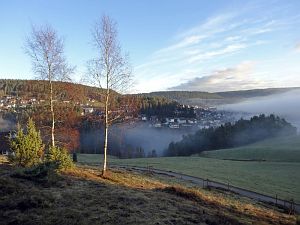 Tennenbronn im Nebel