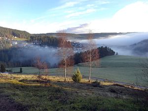 Tennenbronn im Nebel