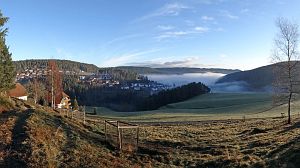Tennenbronn im Nebel