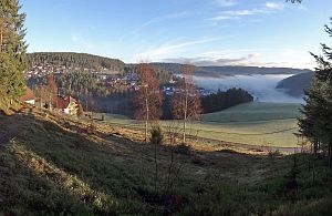 Tennenbronn im Nebel