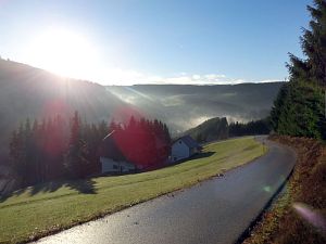 Tennenbronn im Nebel