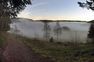 Tennenbronn im Nebel