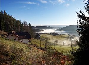 Tennenbronn im Nebel