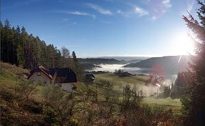 Tennenbronn im Nebel