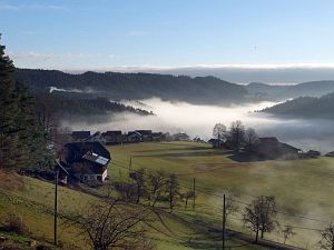 Tennenbronn im Nebel