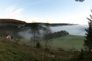 Tennenbronn im Nebel