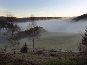 Tennenbronn im Nebel