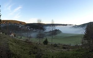 Tennenbronn im Nebel