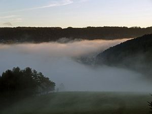 Tennenbronn im Nebel