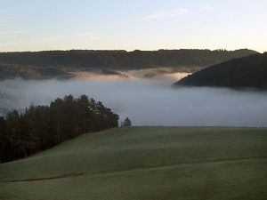Tennenbronn im Nebel