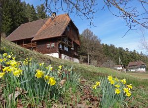 Ostergrüße aus Tennenbronn Ostergrüße aus Tennenbronn