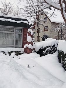 Starker Schneefall in Tennenbronn