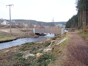 Baumfällarbeiten am See