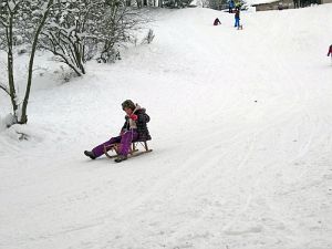 Optimale Bedingungen für Langlauf, Rodel und Ski