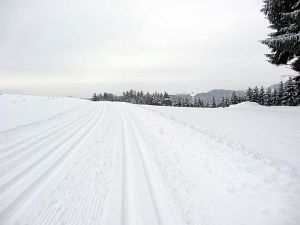 Optimale Bedingungen für Langlauf, Rodel und Ski