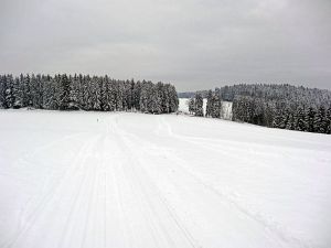 Optimale Bedingungen für Langlauf, Rodel und Ski