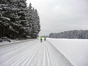 Optimale Bedingungen für Langlauf, Rodel und Ski