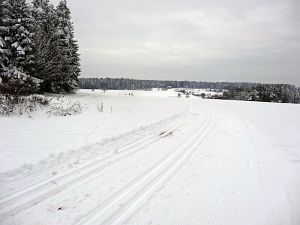 Optimale Bedingungen für Langlauf, Rodel und Ski