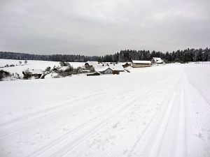 Optimale Bedingungen für Langlauf, Rodel und Ski